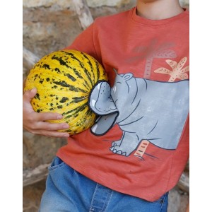 ΜΠΛΟΥΖΑ HIPPO ENERGIERS