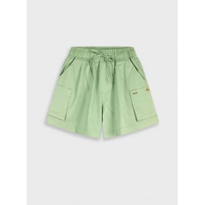 ΒΕΡΜΟΥΔΑ CARGO ENERGIERS