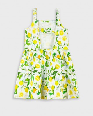 ΦΟΡΕΜΑ ΛΕΜΟΝΙΑ ENERGIERS