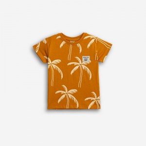 ΜΠΛΟΥΖΑ ΦΟΙΝΙΚΕΣ  FUNKY KIDS