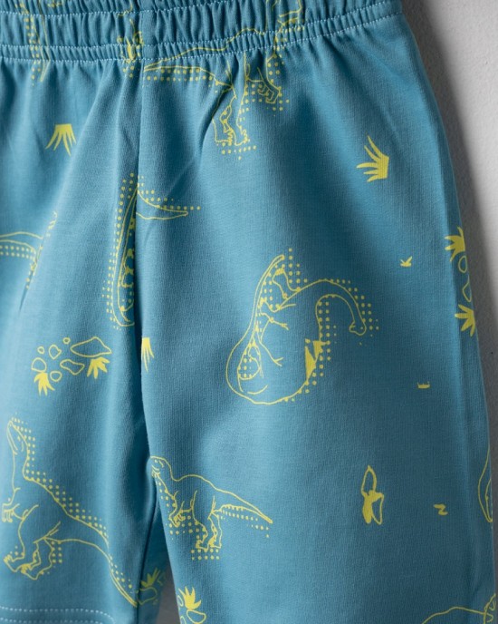 ΣΕΤ ΔΕΙΝΟΣΑΥΡΟΙ NEK