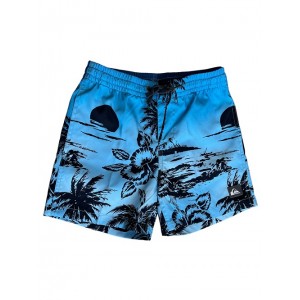 ΜΑΓΙΟ ΒΕΡΜΟΥΔΑ EVERYDAY PARADISE QUIKSILVER