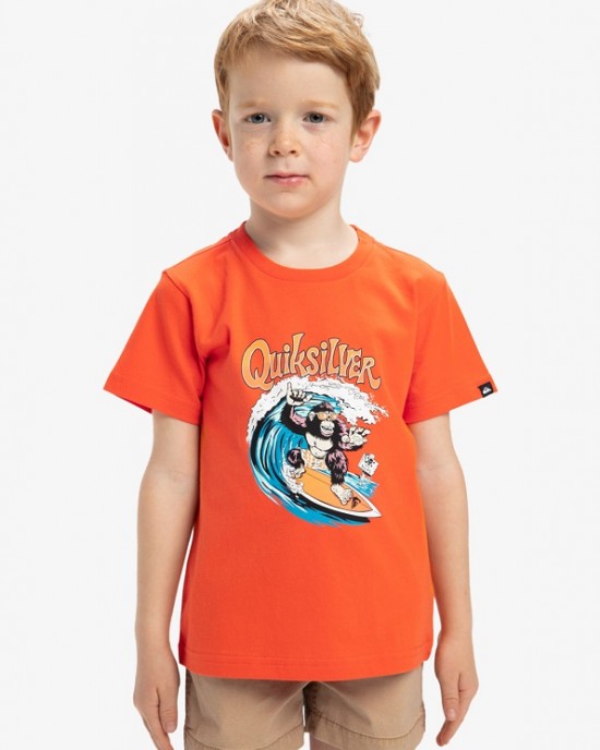 ΜΠΛΟΥΖΑ KONG STORY QUIKSILVER