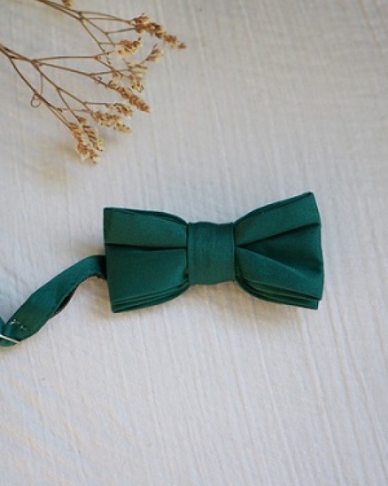 ΠΑΠΙΓΙΟΝ ΡΥΘΜΙΖΟΜΕΝΟ